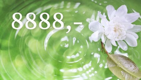 8888